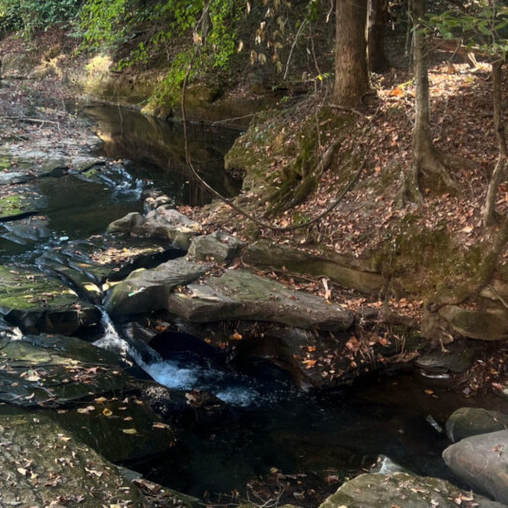 Your guide to 5 must-see Alabama hiking trails Your guide to 5 must-see Alabama hiking trails