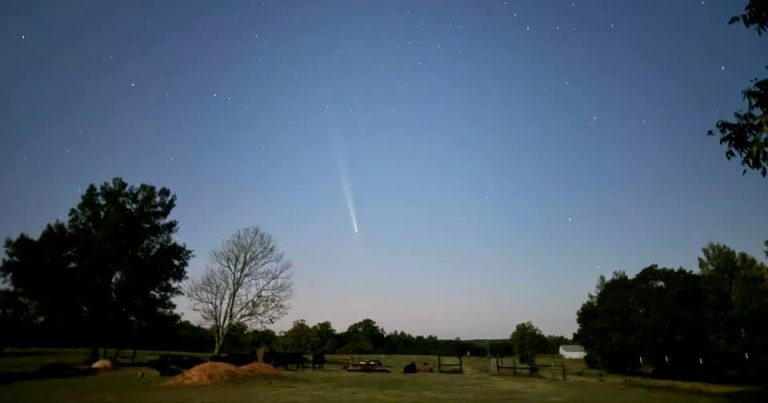 Orionid meteor shower set to peak Oct. 20: How to see it + other celestial events Orionid meteor shower set to peak Oct. 20: How to see it + other celestial events
