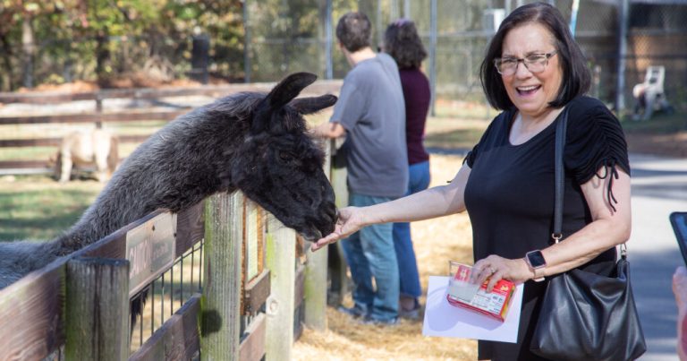 Noccalula Falls Park re-opens animal barn three years after devastating fire Noccalula Falls Park re-opens animal barn three years after devastating fire