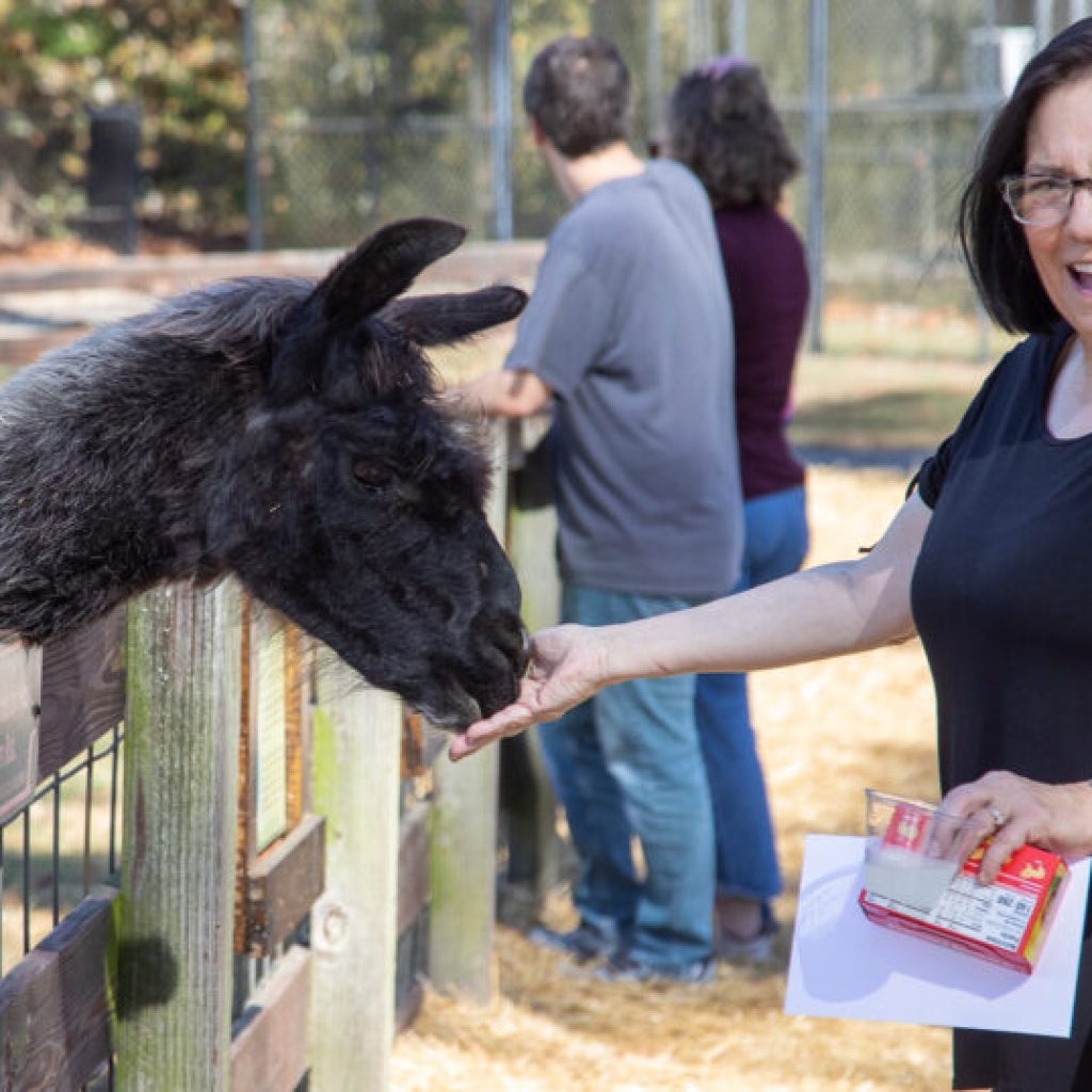 Noccalula Falls Park re-opens animal barn three years after devastating fire Noccalula Falls Park re-opens animal barn three years after devastating fire