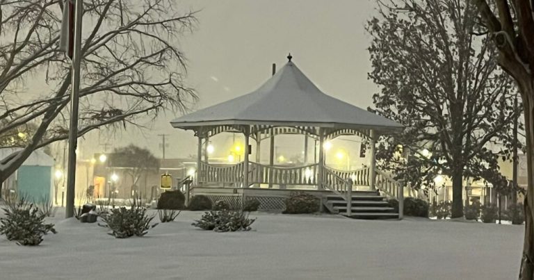 7 inches of snow recorded in Alabama: See what areas were hit the hardest 7 inches of snow recorded in Alabama: See what areas were hit the hardest