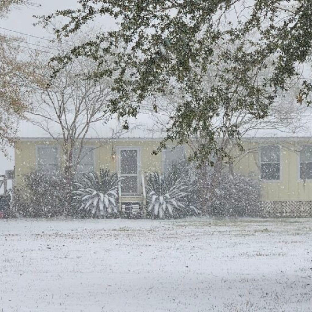 11 inches of snow in Alabama: How the Jan. 21 snowfall compares to other historic winter weather events 11 inches of snow in Alabama: How the Jan. 21 snowfall compares to other historic winter weather events