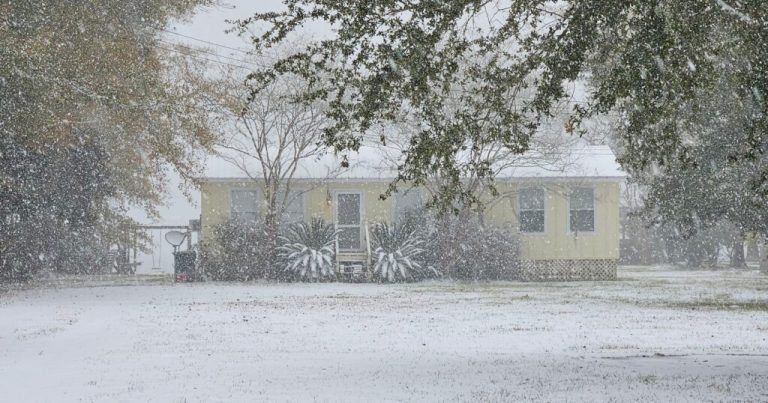 11 inches of snow in Alabama: How the Jan. 21 snowfall compares to other historic winter weather events 11 inches of snow in Alabama: How the Jan. 21 snowfall compares to other historic winter weather events