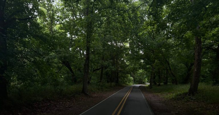 Sweet Trails Alabama: State’s first comprehensive guide to outdoor recreation Sweet Trails Alabama: State’s first comprehensive guide to outdoor recreation