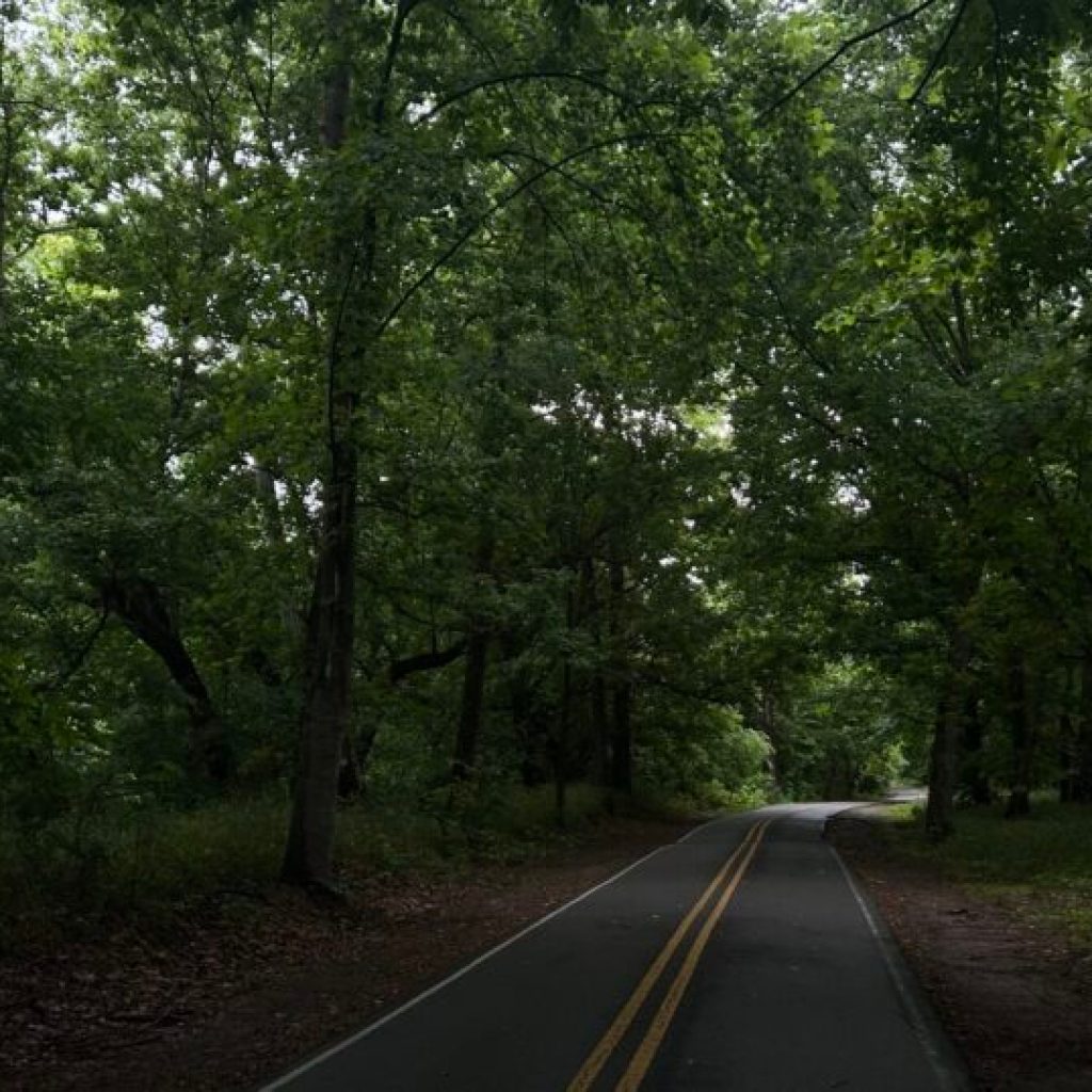 Sweet Trails Alabama: State’s first comprehensive guide to outdoor recreation Sweet Trails Alabama: State’s first comprehensive guide to outdoor recreation