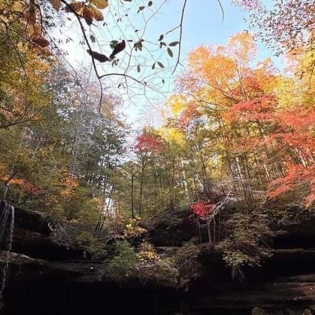 Celebrate 50 Years of Sipsey Wilderness Celebrate 50 Years of Sipsey Wilderness