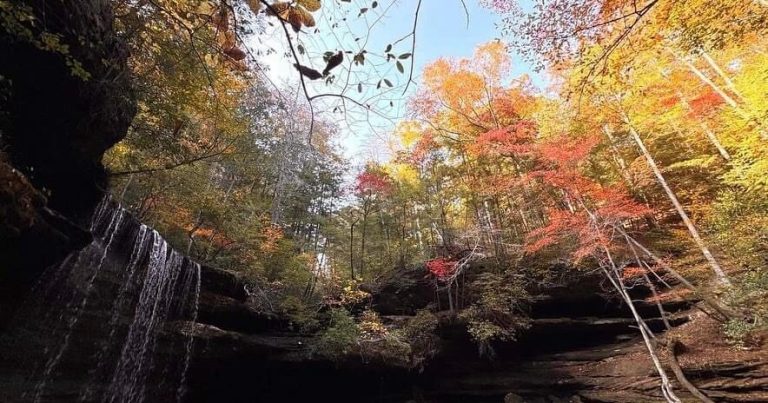WorldAtlas names its 5 best natural wonders in Alabama—see what made the cut WorldAtlas names its 5 best natural wonders in Alabama—see what made the cut