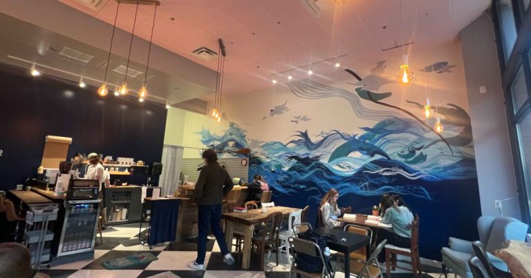 The newest addition to Tuscaloosa’s nightlife, Cafe Haven The newest addition to Tuscaloosa’s nightlife, Cafe Haven