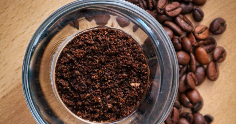 NEW: Coffee Hour Co. opens location in Cullman NEW: Coffee Hour Co. opens location in Cullman