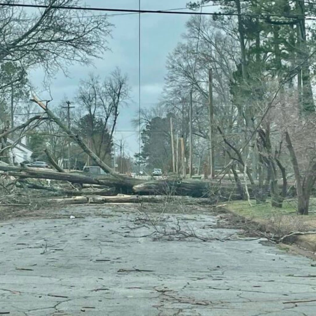 7 tornadoes confirmed during weekend storms across Alabama 7 tornadoes confirmed during weekend storms across Alabama