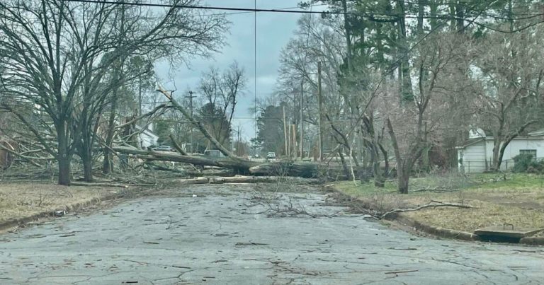7 tornadoes confirmed during weekend storms across Alabama 7 tornadoes confirmed during weekend storms across Alabama