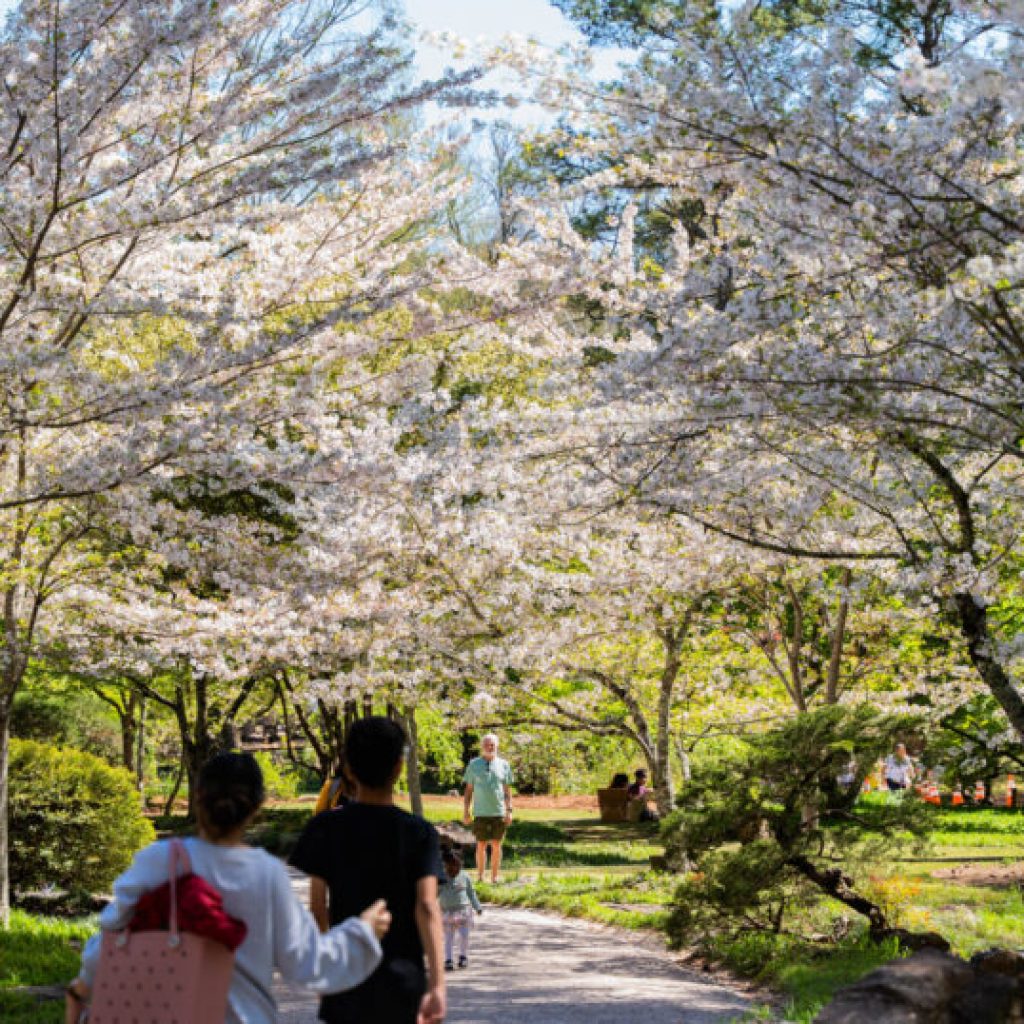 17 festivals in Alabama to kickstart your spring celebrations 17 festivals in Alabama to kickstart your spring celebrations