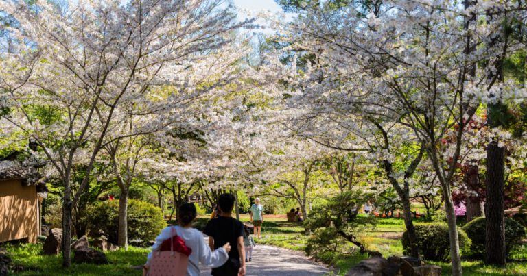 17 festivals in Alabama to kickstart your spring celebrations 17 festivals in Alabama to kickstart your spring celebrations