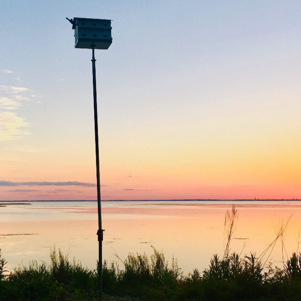 ‘The Jubilee City’: Learn the history behind Daphne’s unique nickname ‘The Jubilee City’: Learn the history behind Daphne’s unique nickname