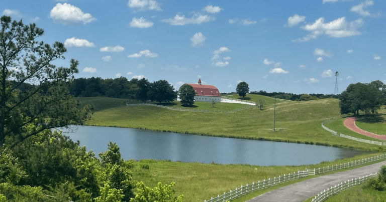 8M development at Hallmark Farm to become Alabama Farm Center 8M development at Hallmark Farm to become Alabama Farm Center