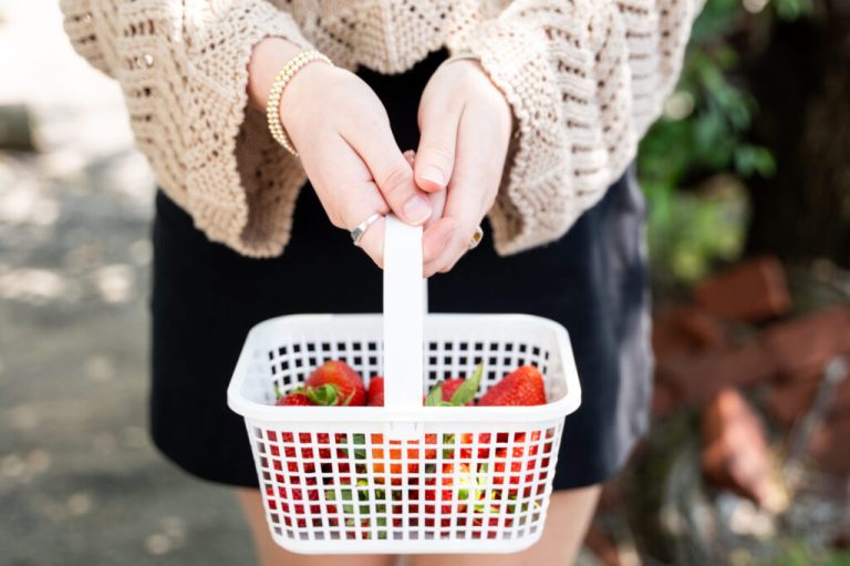 Fresh produce in Alabama: What’s in season now + where to get it Fresh produce in Alabama: What’s in season now + where to get it