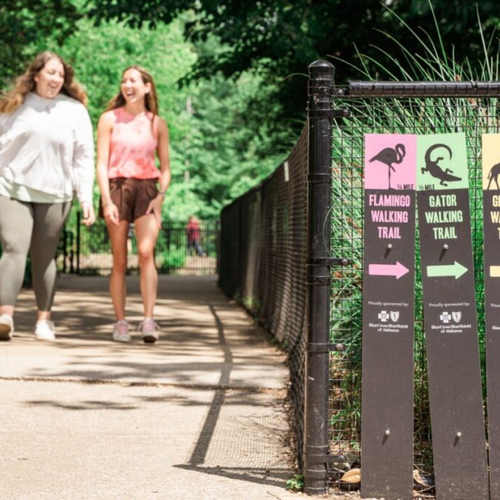 Birmingham Zoo Recognized As Alabama’S Attraction Of The Year Birmingham Zoo Recognized As Alabama’S Attraction Of The Year