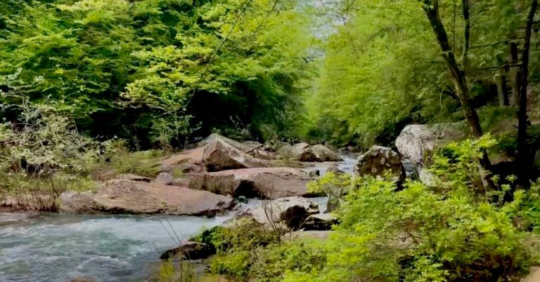 Sipsey Wilderness completes 50-year journey with new 40-acre addition Sipsey Wilderness completes 50-year journey with new 40-acre addition
