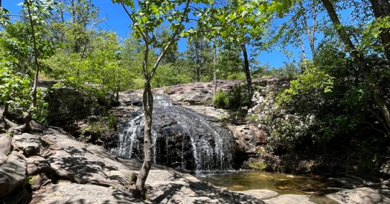 5 Alabama cities make U.S. News annual list of 250 Best Places to Live 5 Alabama cities make U.S. News annual list of 250 Best Places to Live