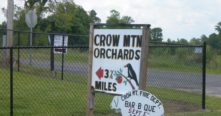 A once-popular Alabama orchard is now for sale, listed at .1M A once-popular Alabama orchard is now for sale, listed at .1M