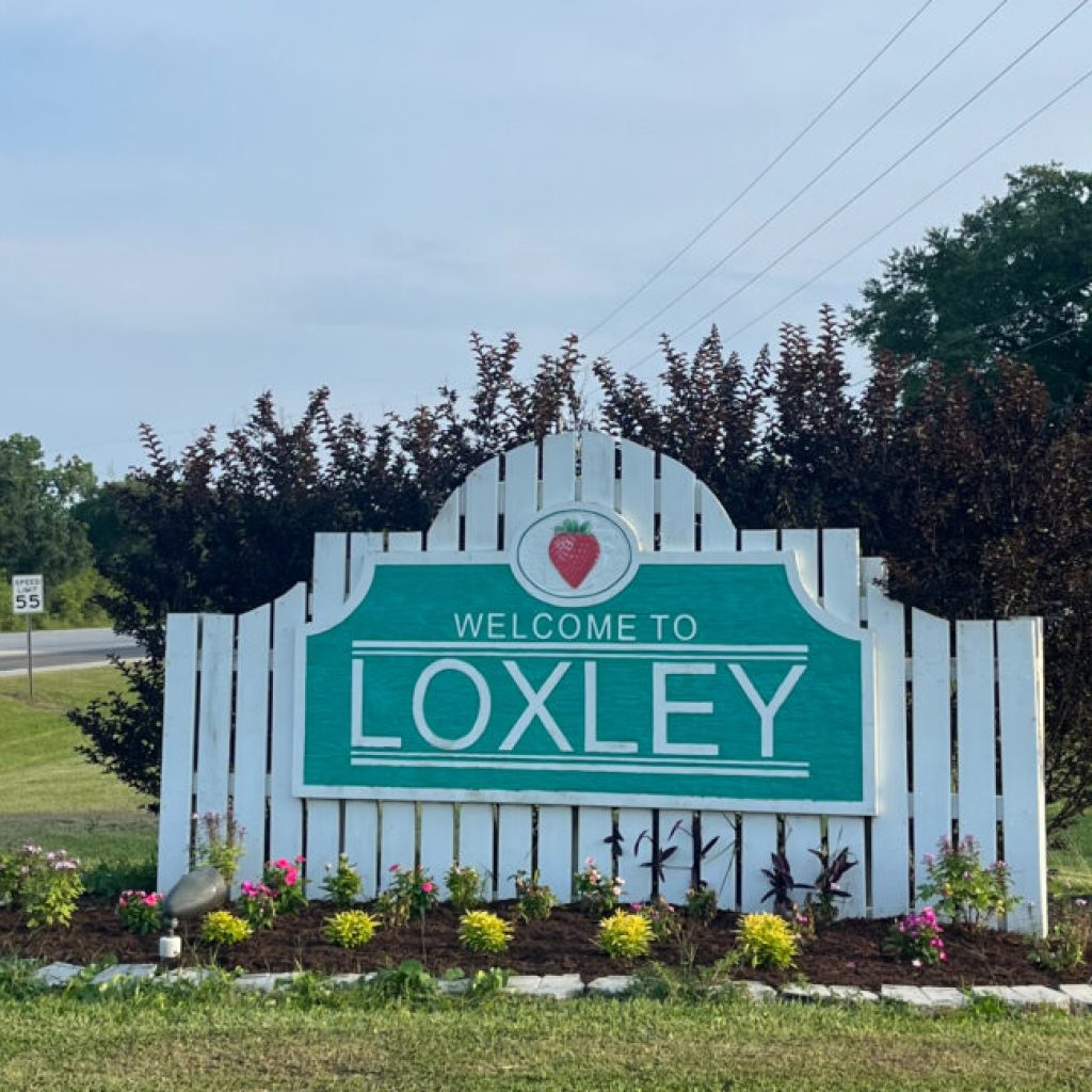 Welcome to Loxley: Home to ‘strawberry festivals forever’ Welcome to Loxley: Home to ‘strawberry festivals forever’