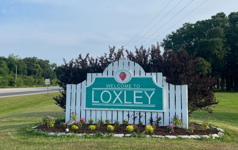 Welcome to Loxley: Home to ‘strawberry festivals forever’ Welcome to Loxley: Home to ‘strawberry festivals forever’