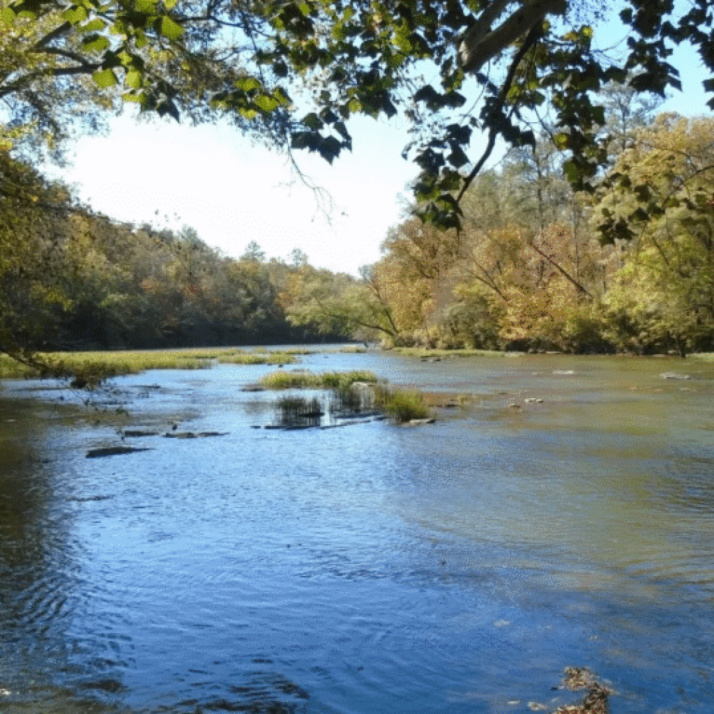 Alabama Waterway Declared “Fishiest River” In U.s. By National Geographic Alabama Waterway Declared “Fishiest River” In U.s. By National Geographic