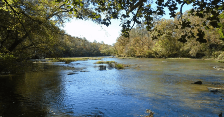 11 Alabama waterways to explore before the end of the summer 11 Alabama waterways to explore before the end of the summer