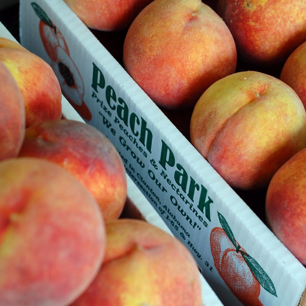 Savor the magic: 6 Alabama peach varieties to try this summer Savor the magic: 6 Alabama peach varieties to try this summer