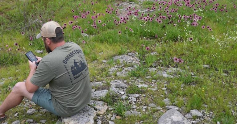 Native Plant Tok: Find out why this Alabama nature lover was featured in the New York Times Native Plant Tok: Find out why this Alabama nature lover was featured in the New York Times