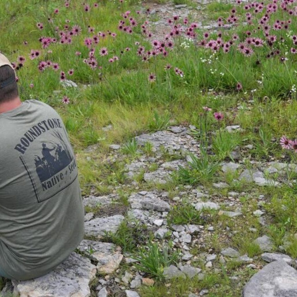 Native Plant Tok: Find out why this Alabama nature lover was featured in the New York Times Native Plant Tok: Find out why this Alabama nature lover was featured in the New York Times