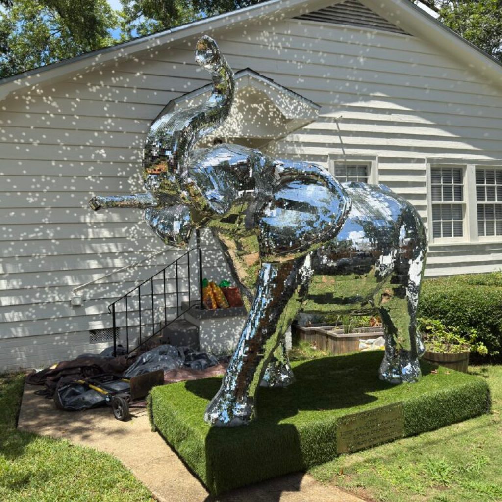 Must-visit spots for new University of Alabama students and parents Must-visit spots for new University of Alabama students and parents