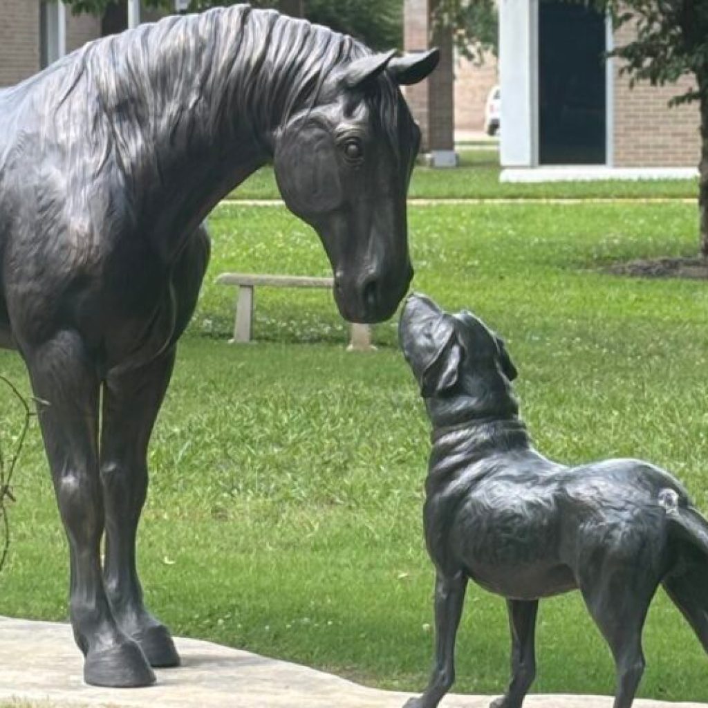 Roscoe the Dog: The heartbeat of NACC Roscoe the Dog: The heartbeat of NACC