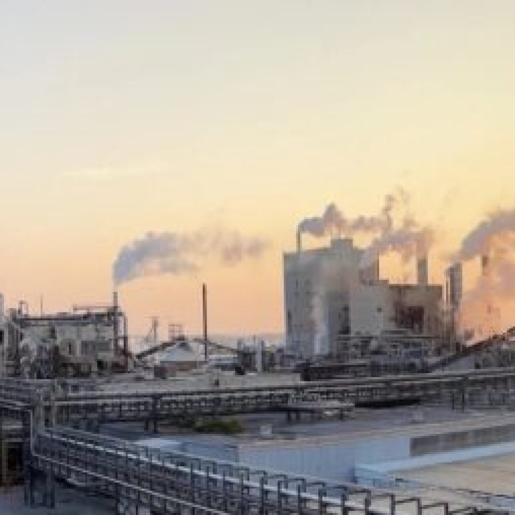International Paper to invest 0M in Selma facility International Paper to invest 0M in Selma facility