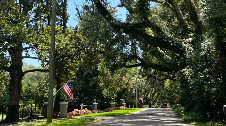 Magnolia trees spring eternal in this small Baldwin County town Magnolia trees spring eternal in this small Baldwin County town