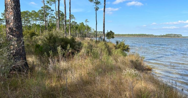 Foley gets M grant to expand Graham Creek Nature Preserve Foley gets M grant to expand Graham Creek Nature Preserve