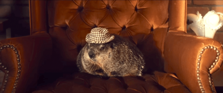 Beloved Alabama groundhog featured in recently-released movie ‘Bad Man’ Beloved Alabama groundhog featured in recently-released movie ‘Bad Man’