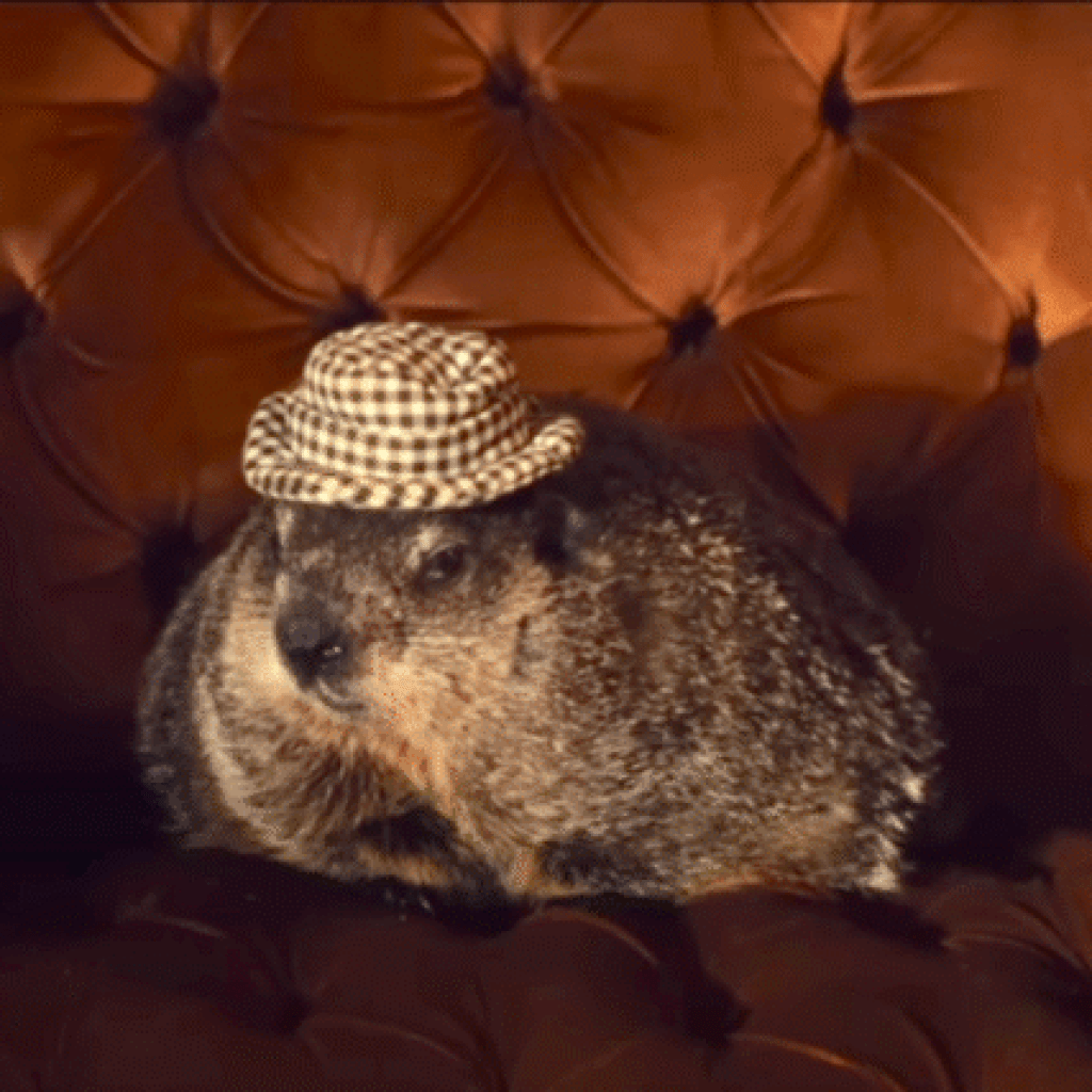 Beloved Alabama groundhog featured in recently-released movie ‘Bad Man’ Beloved Alabama groundhog featured in recently-released movie ‘Bad Man’