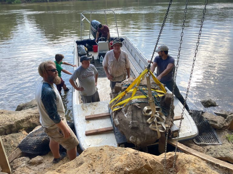 Alabama family discovers 32-million-year-old sea turtle fossil Alabama family discovers 32-million-year-old sea turtle fossil