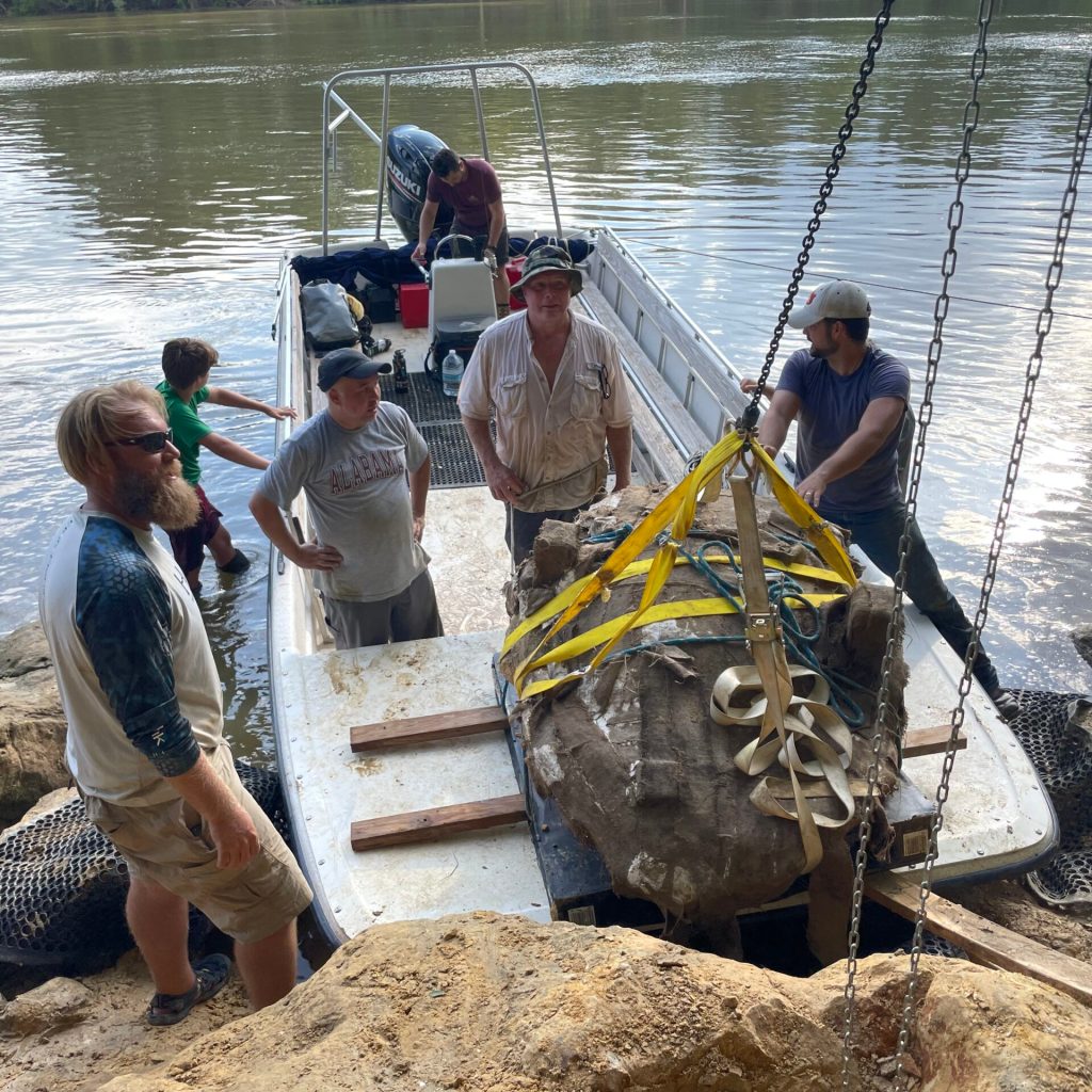 Alabama family discovers 32-million-year-old sea turtle fossil Alabama family discovers 32-million-year-old sea turtle fossil