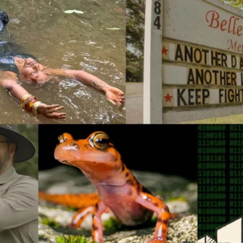 When + where to watch these films about Alabama nature around the state When + where to watch these films about Alabama nature around the state