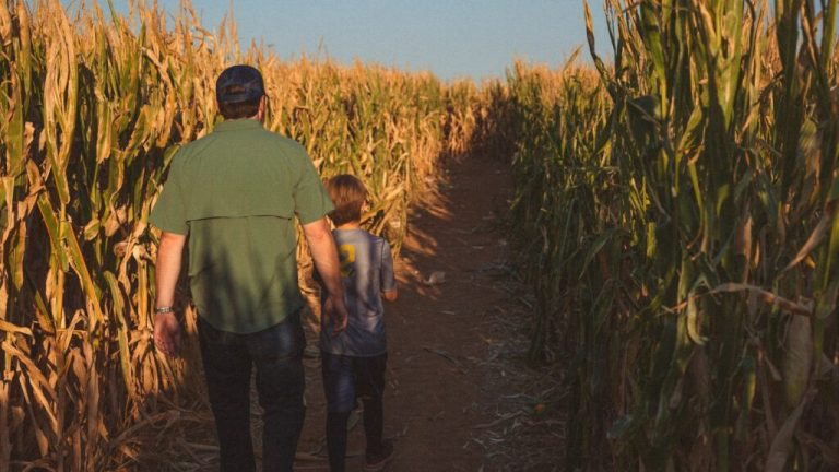 9 corn + hay mazes across Alabama for fall family fun 9 corn + hay mazes across Alabama for fall family fun