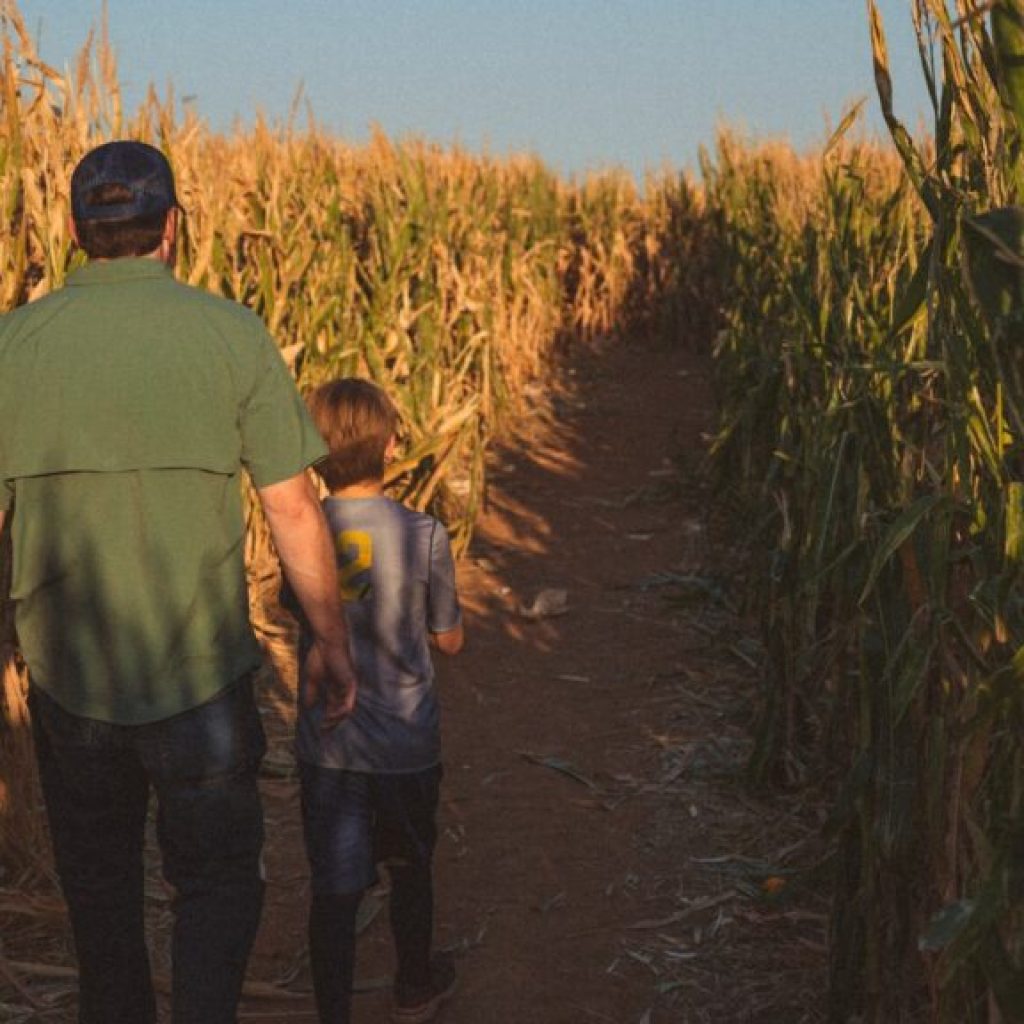 9 corn + hay mazes across Alabama for fall family fun 9 corn + hay mazes across Alabama for fall family fun