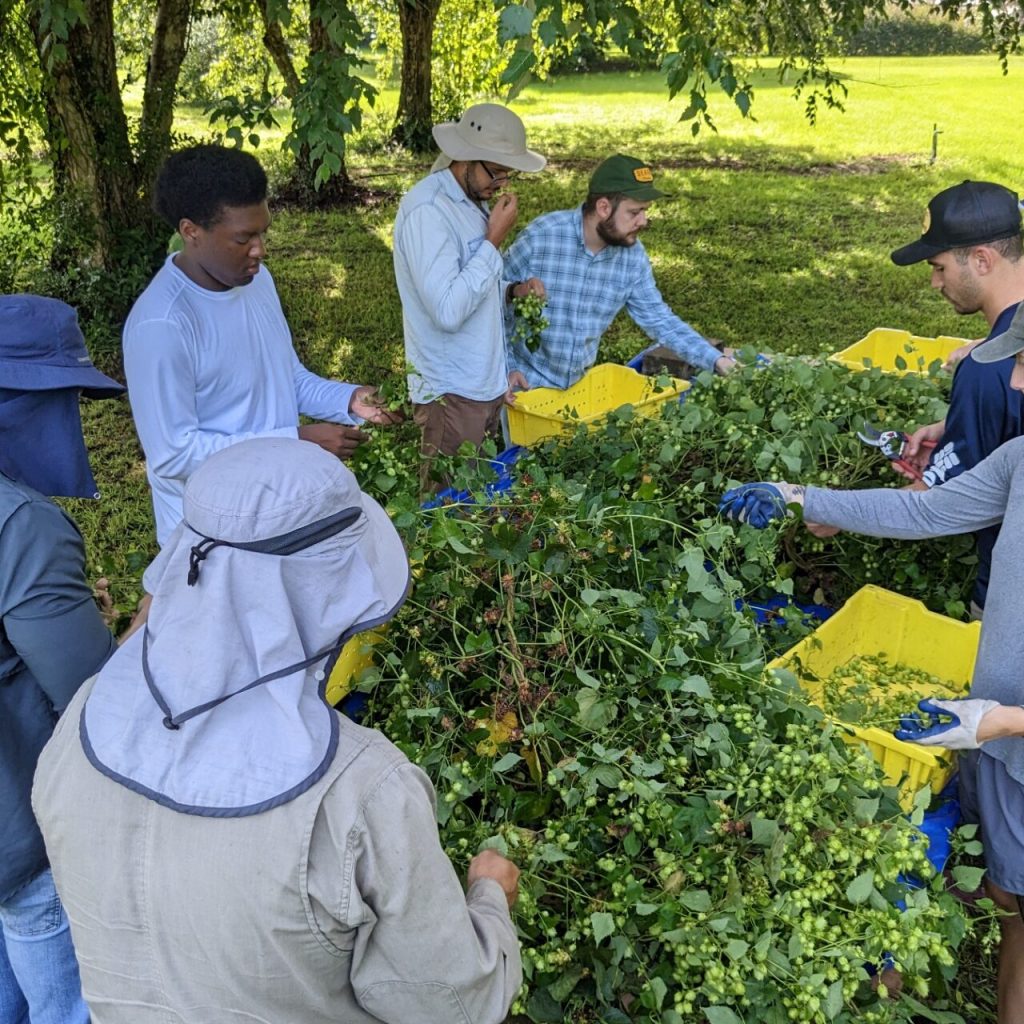 This new pumpkin beer is 100% Alabama-grown—here’s how This new pumpkin beer is 100% Alabama-grown—here’s how