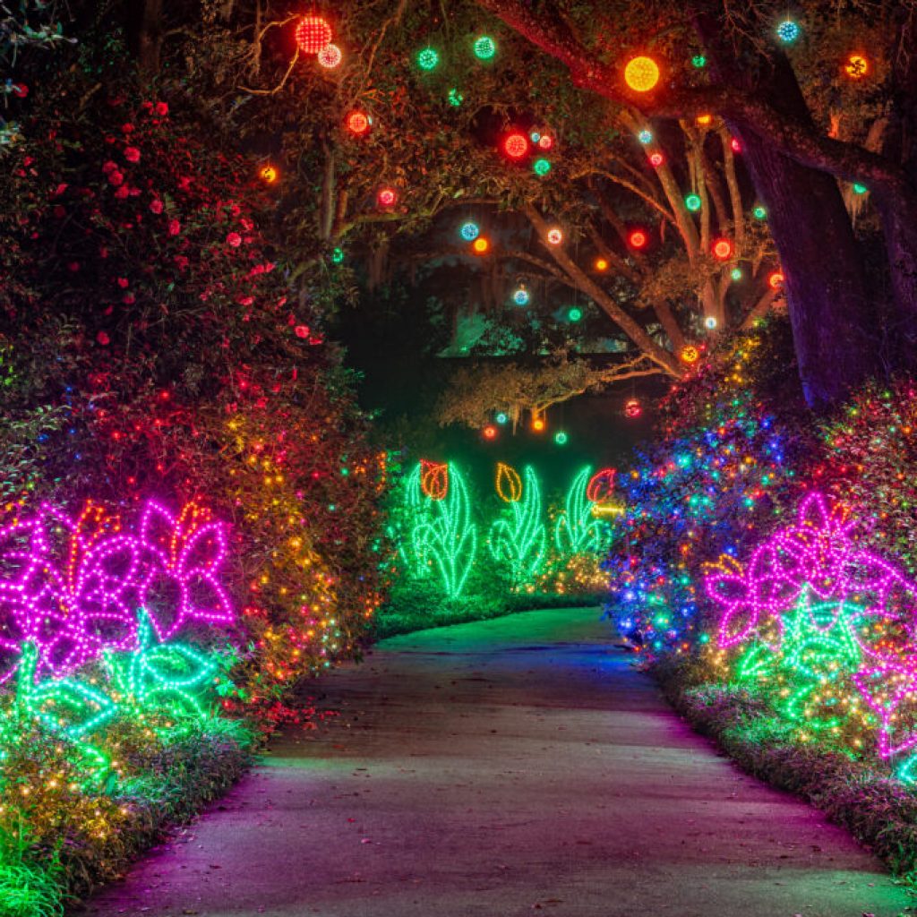 19 holiday light shows to experience across Alabama this season 19 holiday light shows to experience across Alabama this season