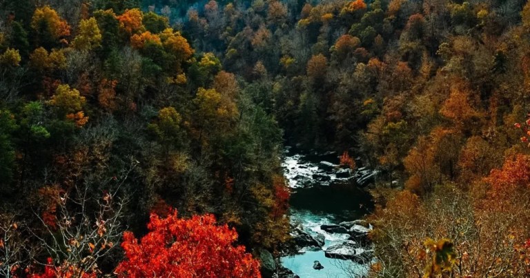 Best spots to enjoy fall foliage in Alabama Best spots to enjoy fall foliage in Alabama