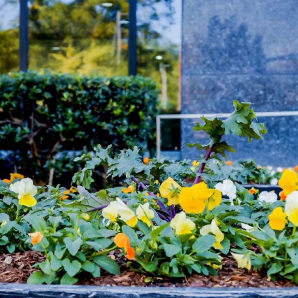 Expert tips to keep your Birmingham landscape fresh all fall + winter long Expert tips to keep your Birmingham landscape fresh all fall + winter long