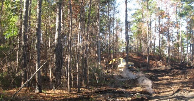 Alabama receives M for mine reclamation projects Alabama receives M for mine reclamation projects