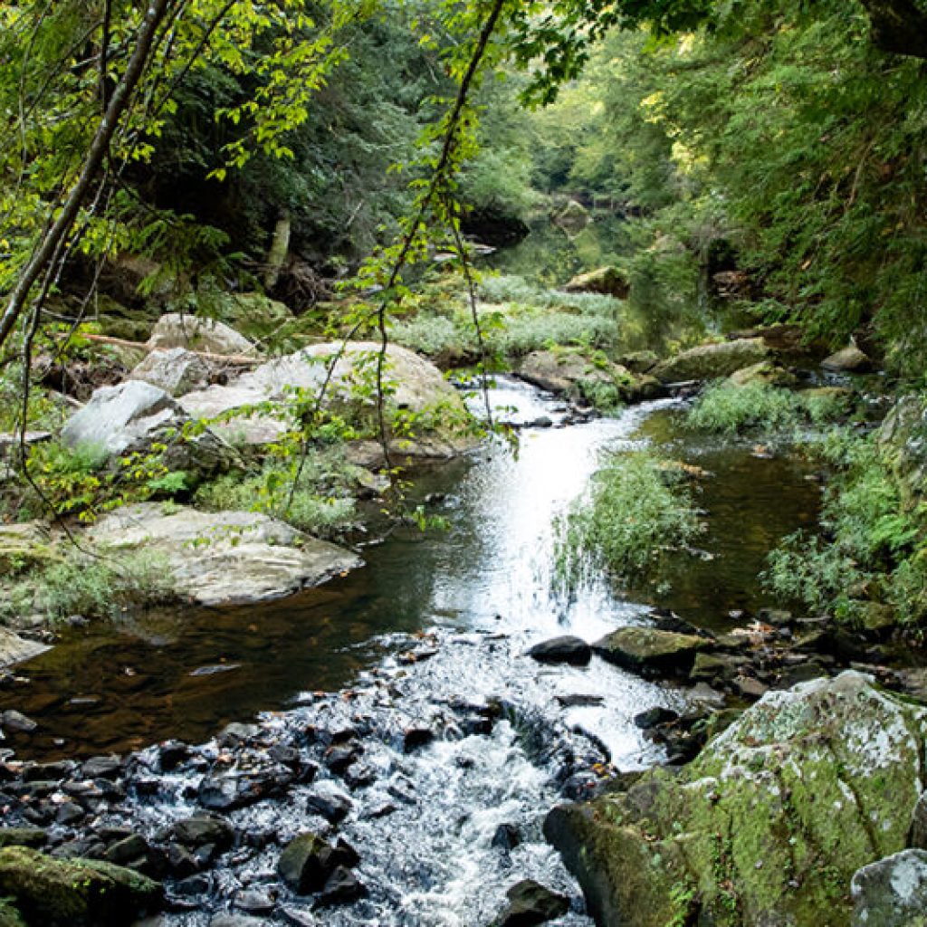 The history behind north Alabama’s greatest natural wonder The history behind north Alabama’s greatest natural wonder