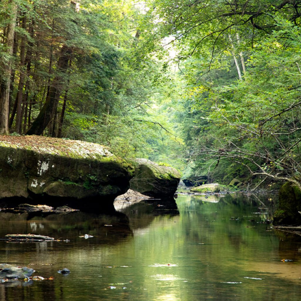 Conserving Alabama’s beauty + why it matters Conserving Alabama’s beauty + why it matters